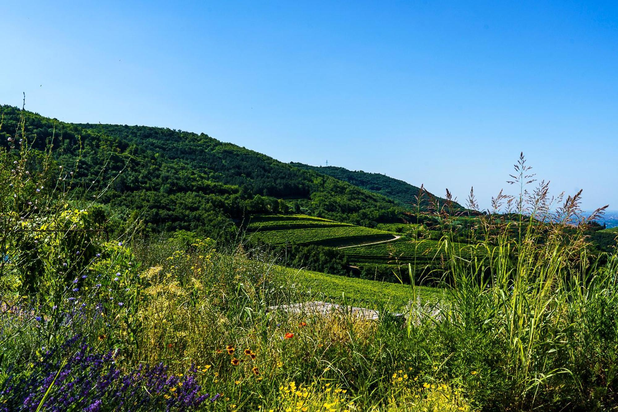 Villa Balis Crema Verona Hills (Adults Only) Grezzana Luaran gambar